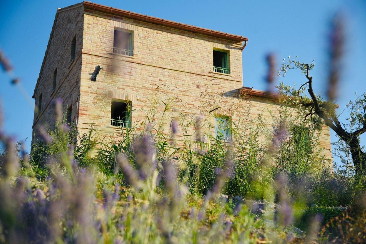 Il Casale Dei Nonni Apartment Grottazzolina Exterior photo